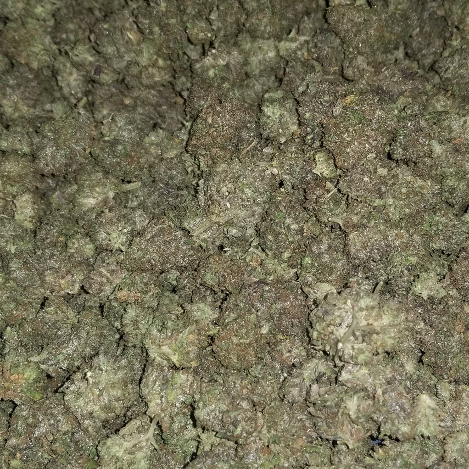 Gelato Cake